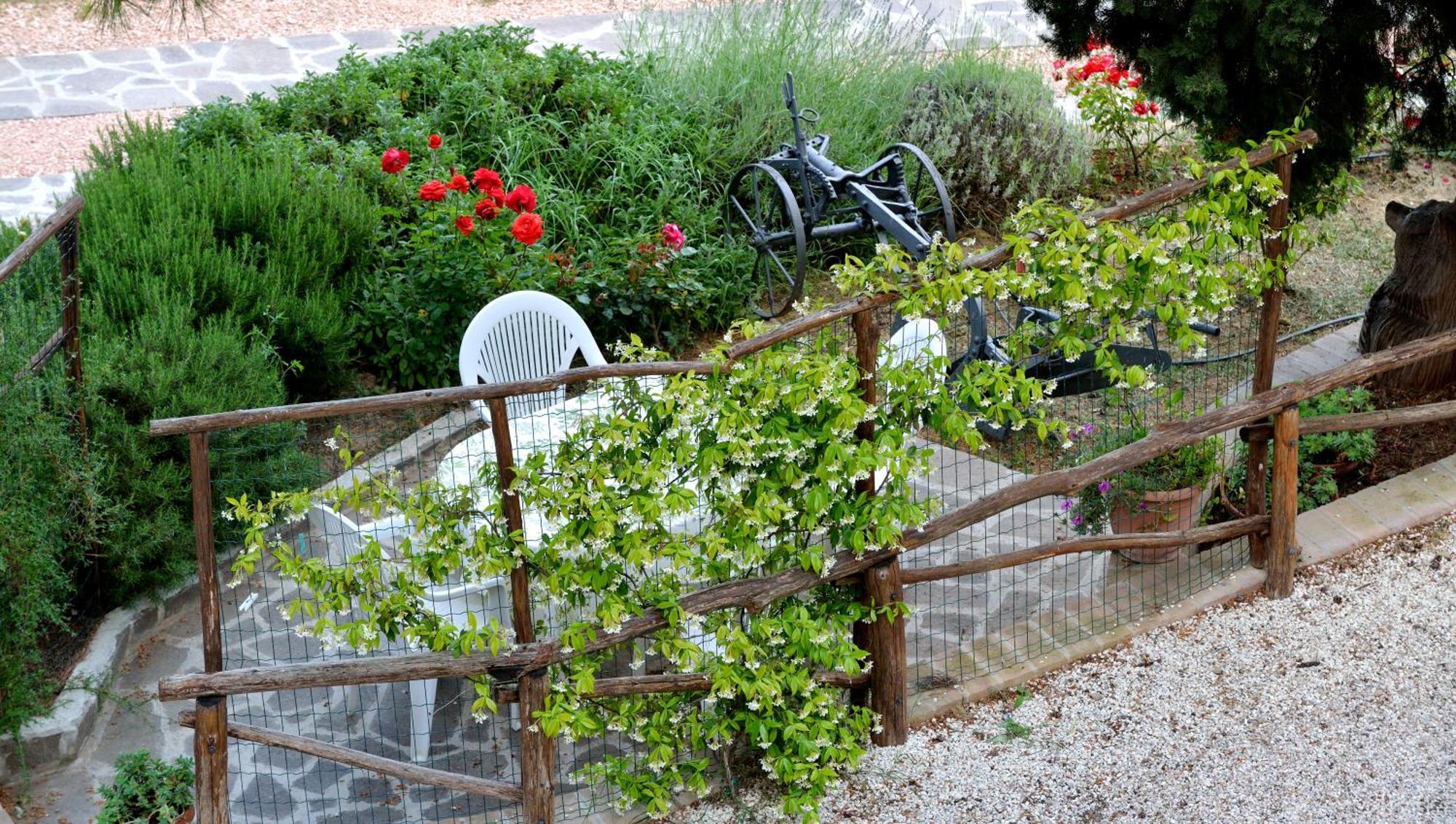 Agriturismo San Severo Пассиньяно-суль-Тразимено Номер фото