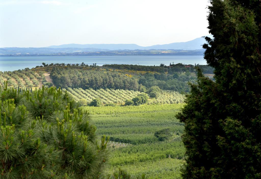 Agriturismo San Severo Пассиньяно-суль-Тразимено Экстерьер фото